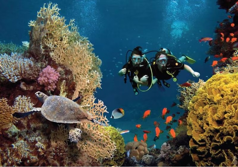 Khách nghỉ tại Al Mahra Maldives sẽ được tham gia nhiều hoạt động giải trí và thể thao biển.