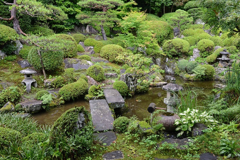 Một khu vườn ở Kiso, tỉnh Fukushima, xum xuê trong những cơn mưa mùa hạ