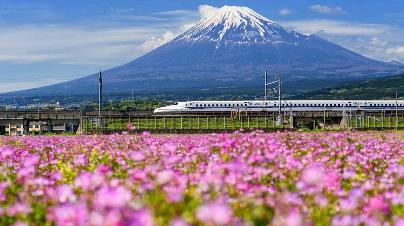 Tại sao chuyến tour du lịch Nhật Bản có thể sắp trở nên đắt đỏ hơn