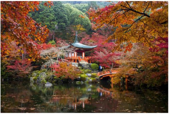 Tôi đưa con đến Kyoto và đây là những gì tôi biết