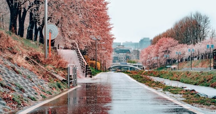 10 Điều Bất Ngờ Nên Làm Ở Seoul, Hàn Quốc