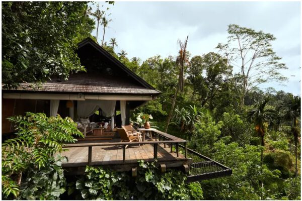 Tôi đã đi du lịch Bali trong nhiều năm và nó tuyệt hơn bao giờ hết