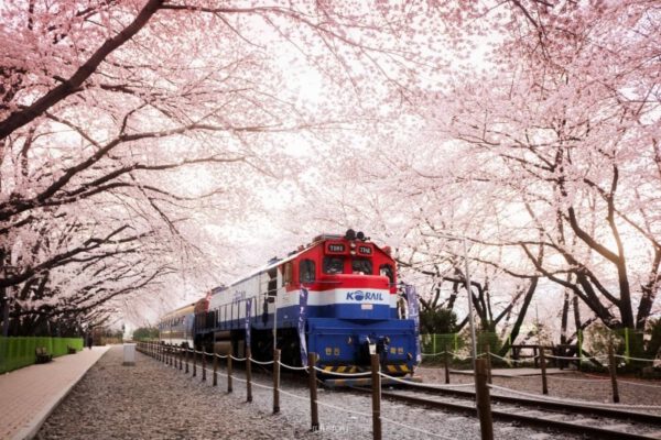 11 Điều Thú Vị Để Làm Ở Hàn Quốc Trong Các Mùa Khác Nhau