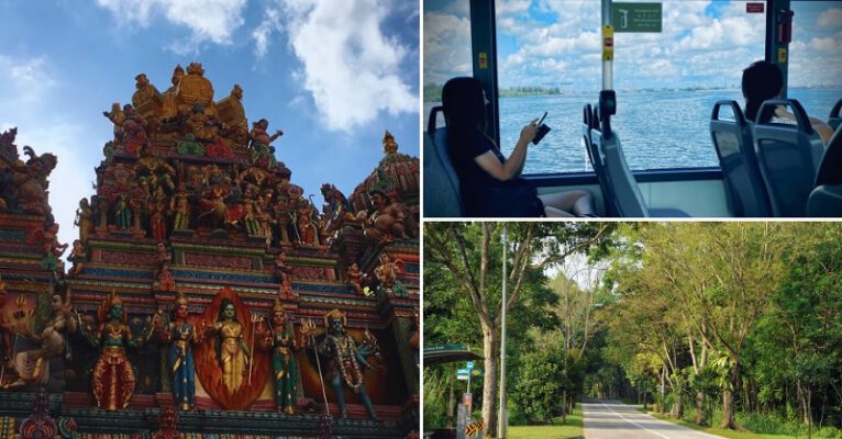 Khám phá Singapore trên 10 tuyến xe buýt tuyệt đẹp