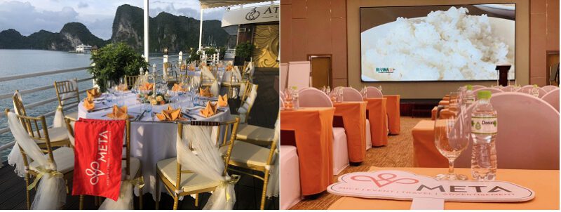 Những địa điểm lý tưởng để tổ chức Tour du lịch hội nghị tri ân khách hàng tại Việt Nam