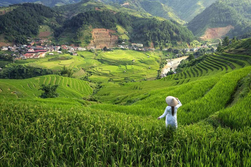 11 Điều Tuyệt Vời Nhất Để Làm Ở Sapa, Việt Nam