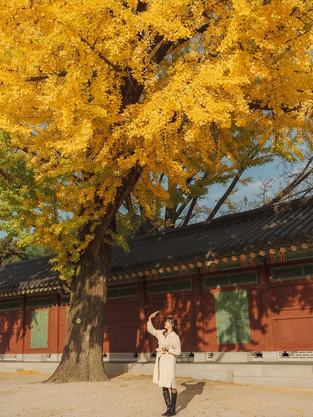 Cách Hàn Quốc, Nhật Bản 'đóng gói' mùa thu thành thương hiệu du lịch tỷ USD