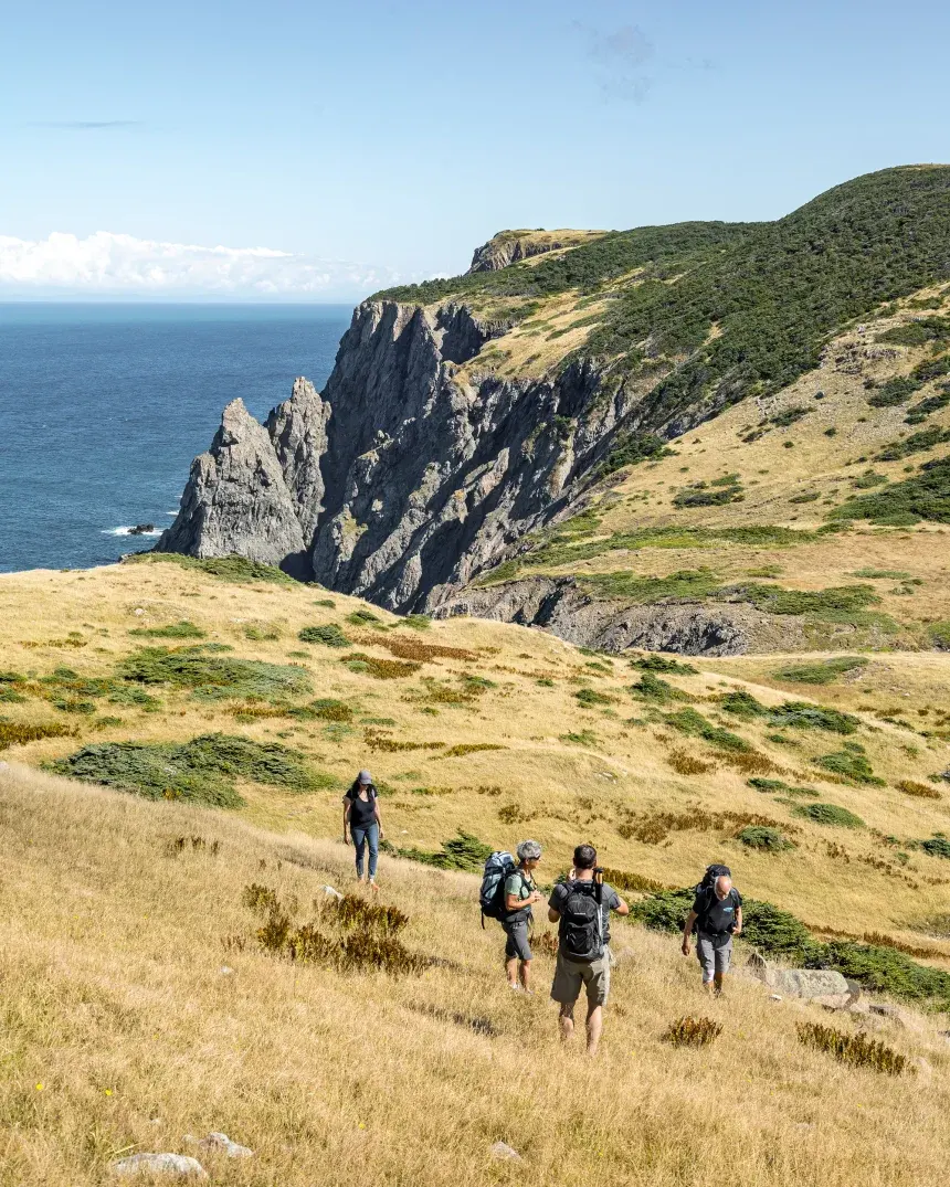 Một bộ phim truyền hình cảnh sát của đài CBC có tên "St Pierre" đã làm nổi bật vùng đất kỳ lạ này.