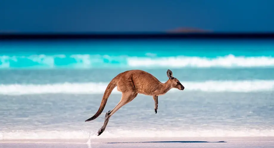 Tương lai của trải nghiệm MICE tại Úc