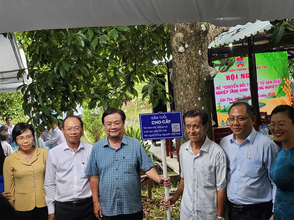Vườn măng cụt của ông Nguyễn Văn Tấn ở xã Thạnh Xuân là một điểm du lịch được nhiều du khách ghé qua trong thời gian gần đây. Nguyên Phó chủ tịch Quốc hội Lê Minh Hoan vừa có buổi nói chuyện, gợi mở khai thác du lịch và bán sản phẩm tại đây - Ảnh: CHÍ QUỐC